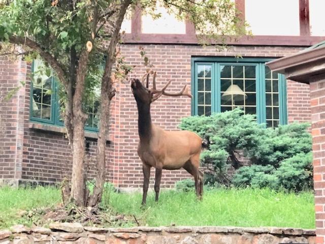Colorado Bed & Breakfast With Beautiful Views エバーグリーン エクステリア 写真