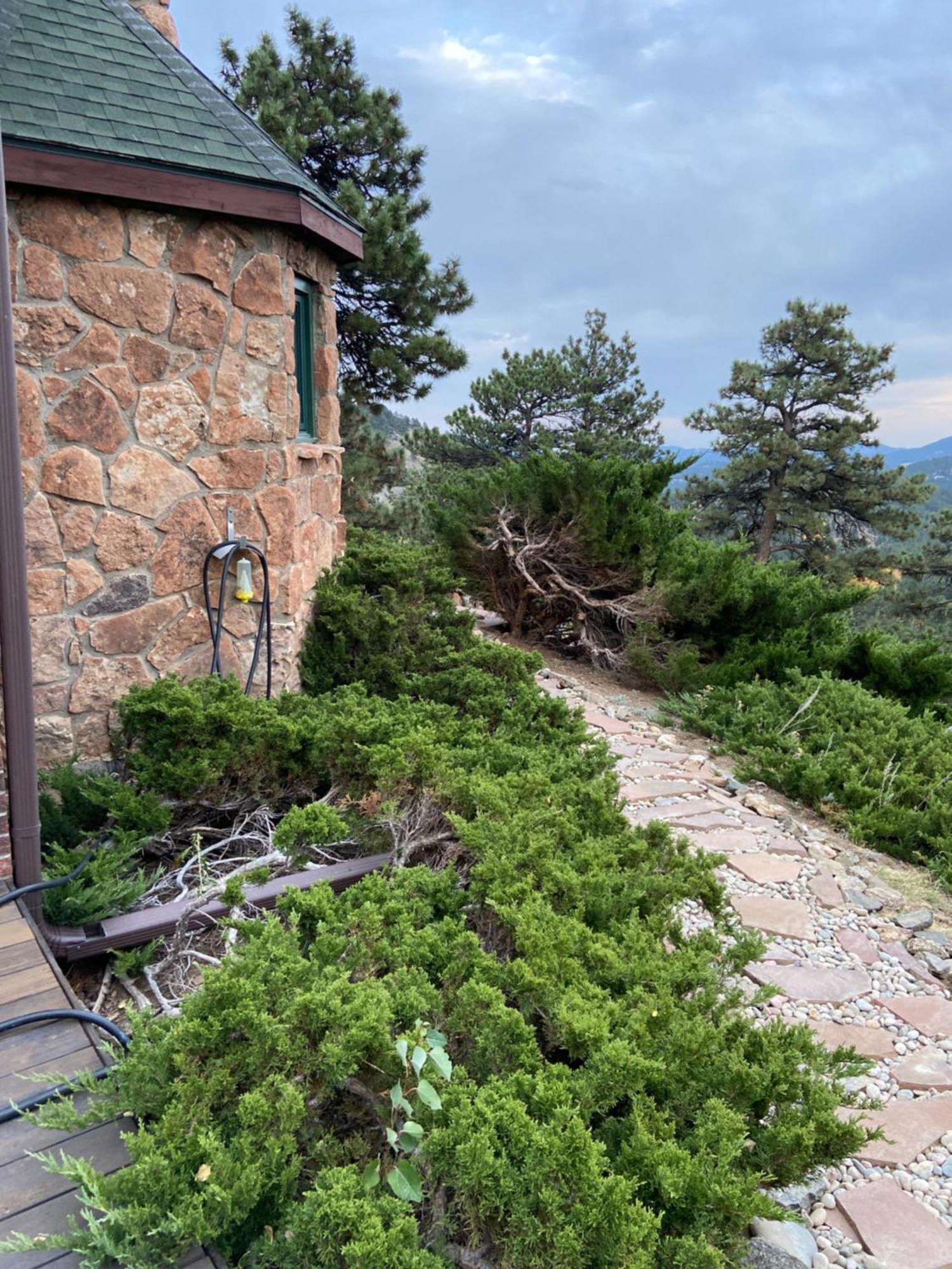 Colorado Bed & Breakfast With Beautiful Views エバーグリーン エクステリア 写真