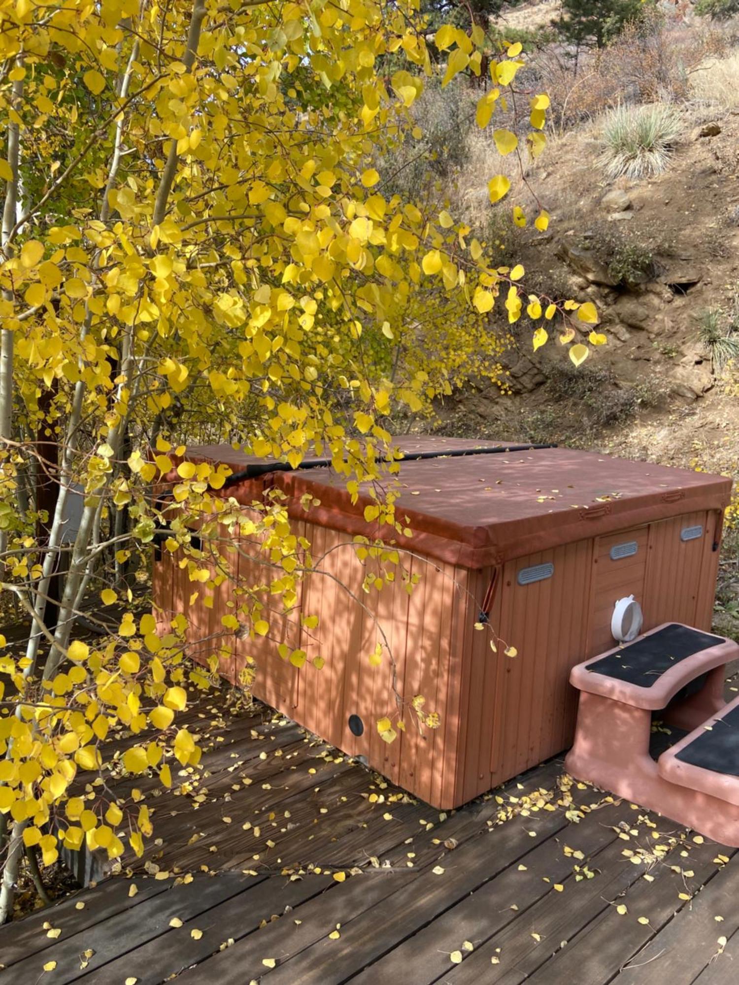 Colorado Bed & Breakfast With Beautiful Views エバーグリーン エクステリア 写真