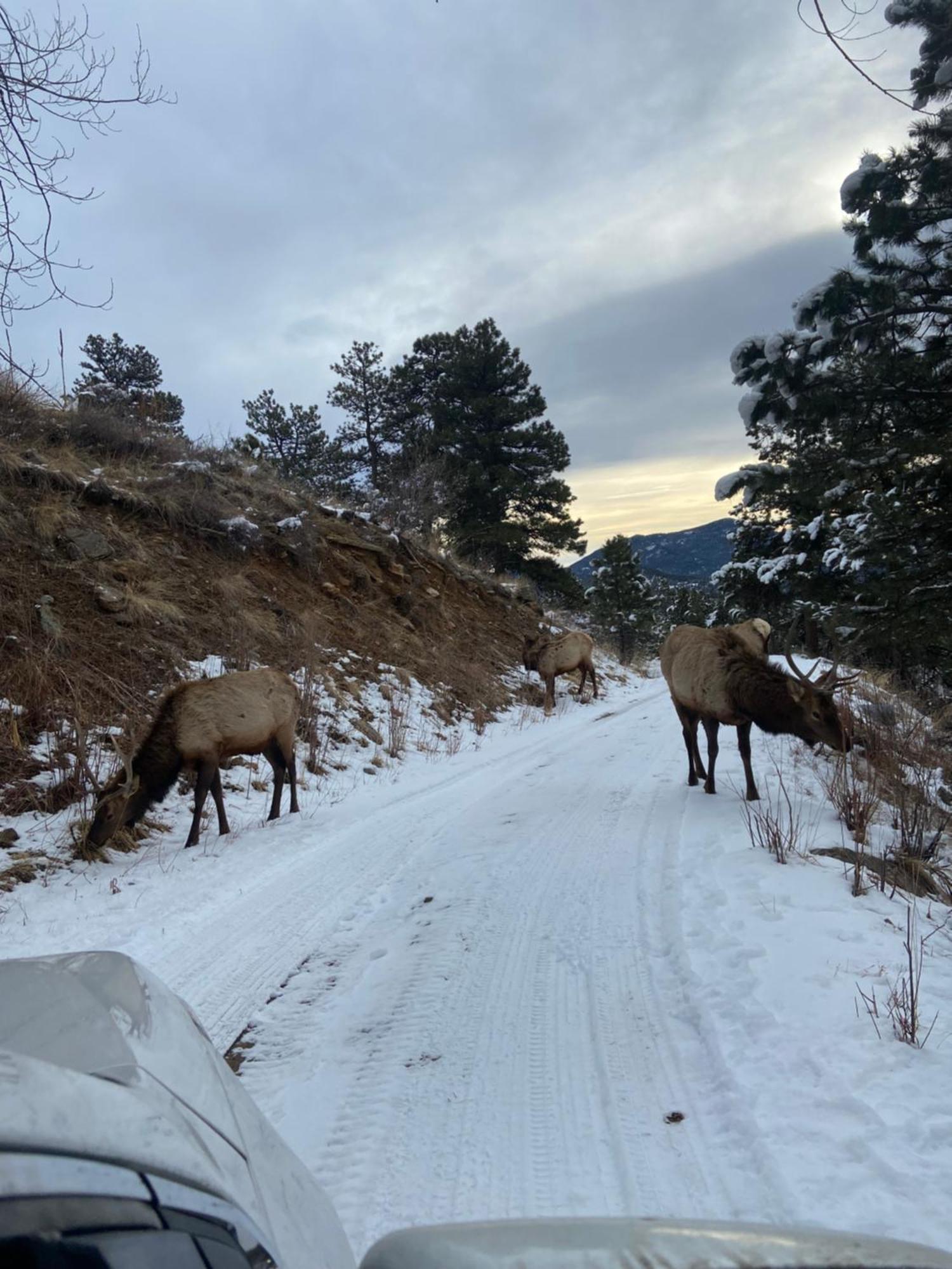 Colorado Bed & Breakfast With Beautiful Views エバーグリーン エクステリア 写真